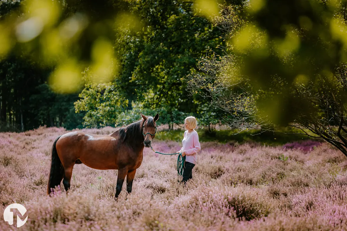 Fotoshoot met Paard door fotograaf uit Waalwijk.