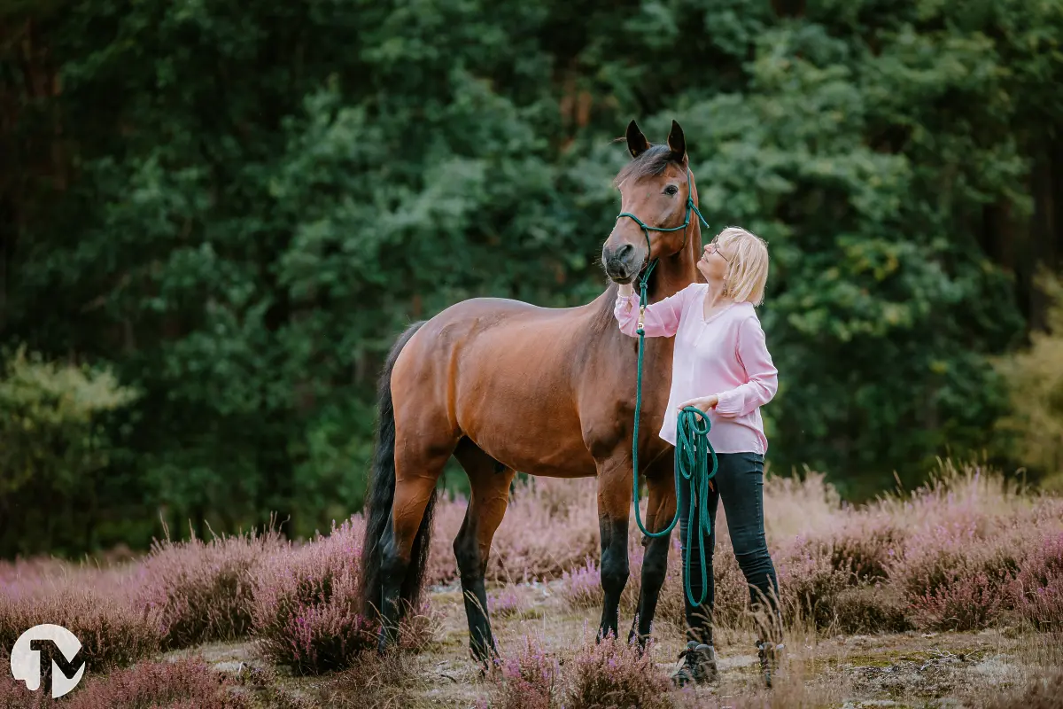 Dierenfotografie in Brabant