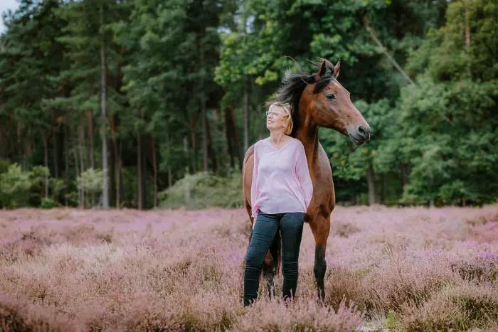 Paardenfotografie in Brabant.