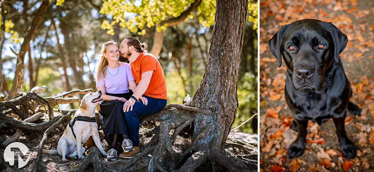 Fotoshoot met hond in de natuur.