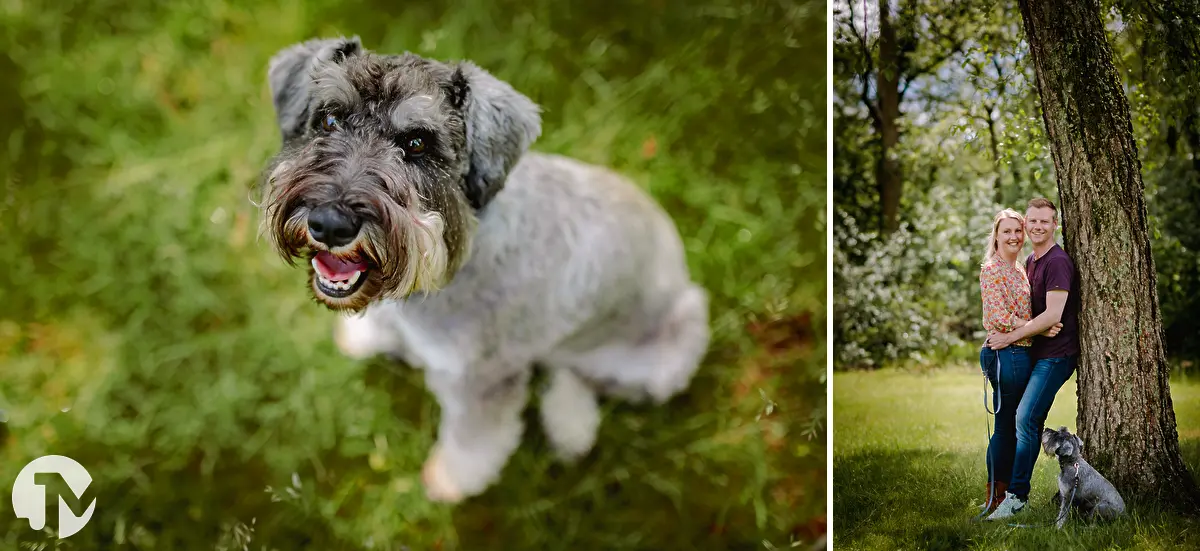Fotoreportage met huisdier in Waalwijk.