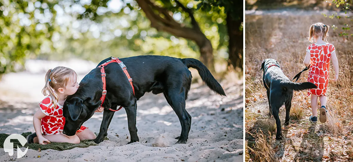 Fotoshoots met honden in Brabant | Waawlijk