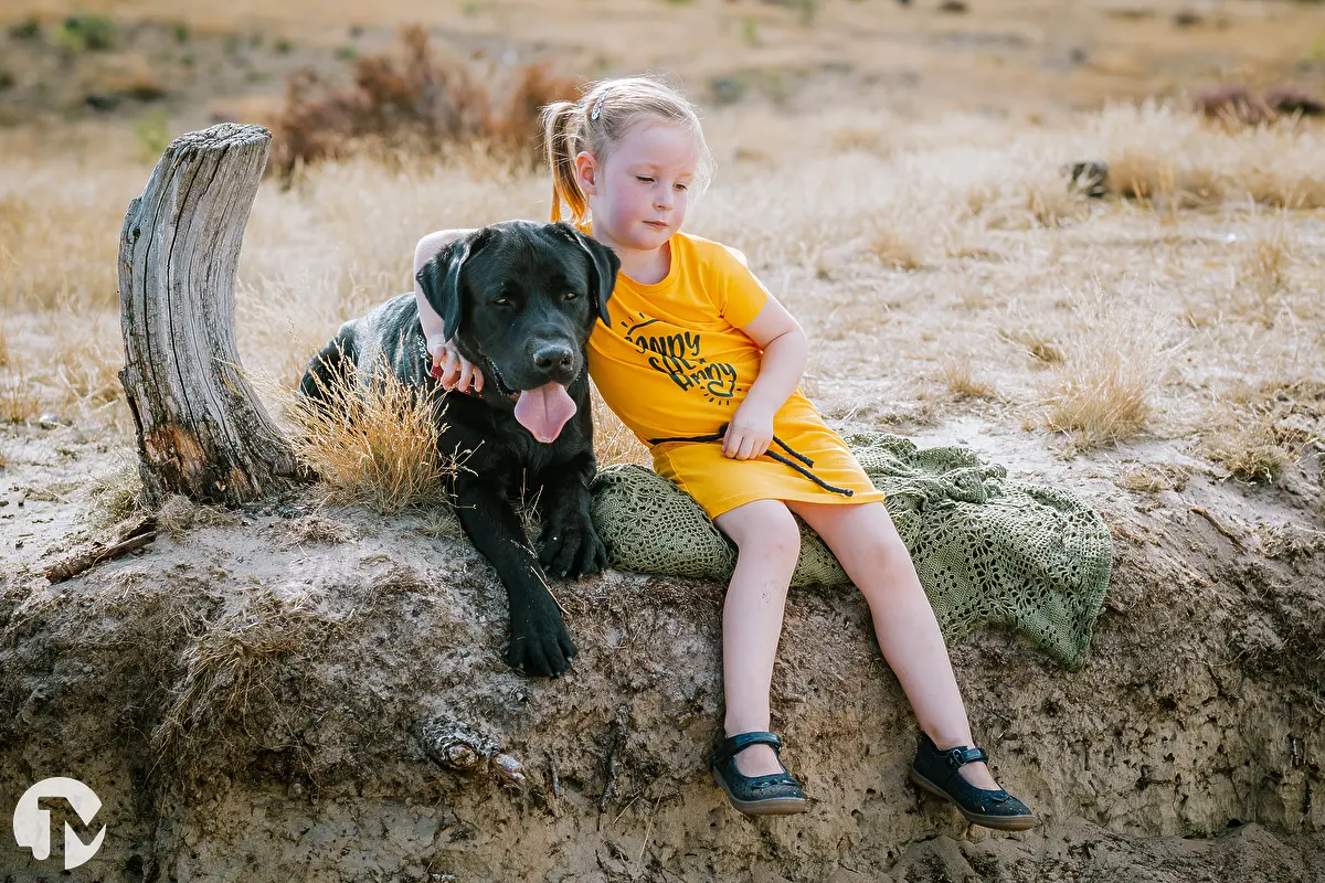 Ontspannen fotoshoot met je hond in de Loonse Duinen