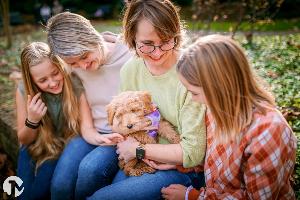 Gezellige fotoshoot met je hond in Brabant.