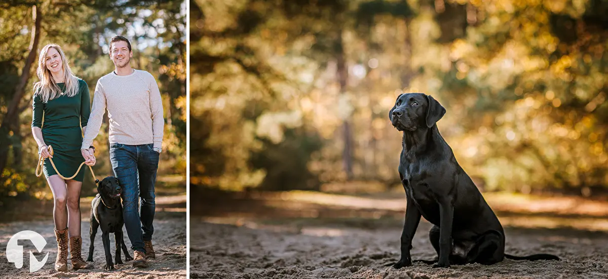 Fotoreportage met je hond in de herfst.