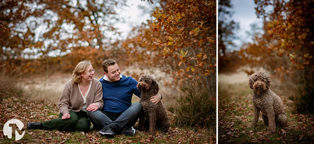 Fotoshoots met honden in Brabant | Waawlijk