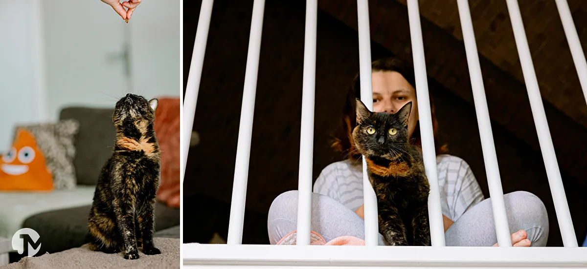 Zwart met karamel kat poseert samen met baasje op de overloop tussen balustrade.