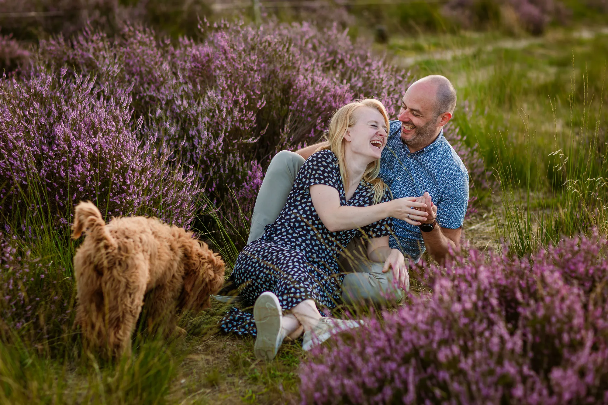 Loveshoot met hond in Loonse duinen in Brabant.