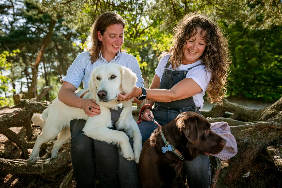Fotoshoot met twee honden en hun baasjes in de Drunense duinen bij avondlicht.