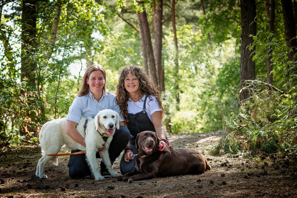 Fotoshoot met twee honden en hun baasjes in de Drunense duinen in het golden hour.