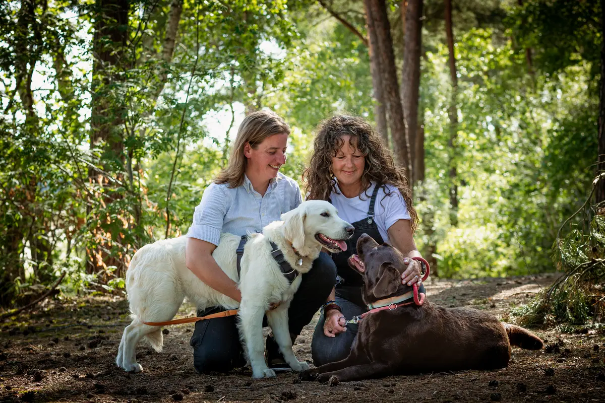 Fotoshoot met twee honden en hun baasjes in de Drunense duinen bij avondlicht.