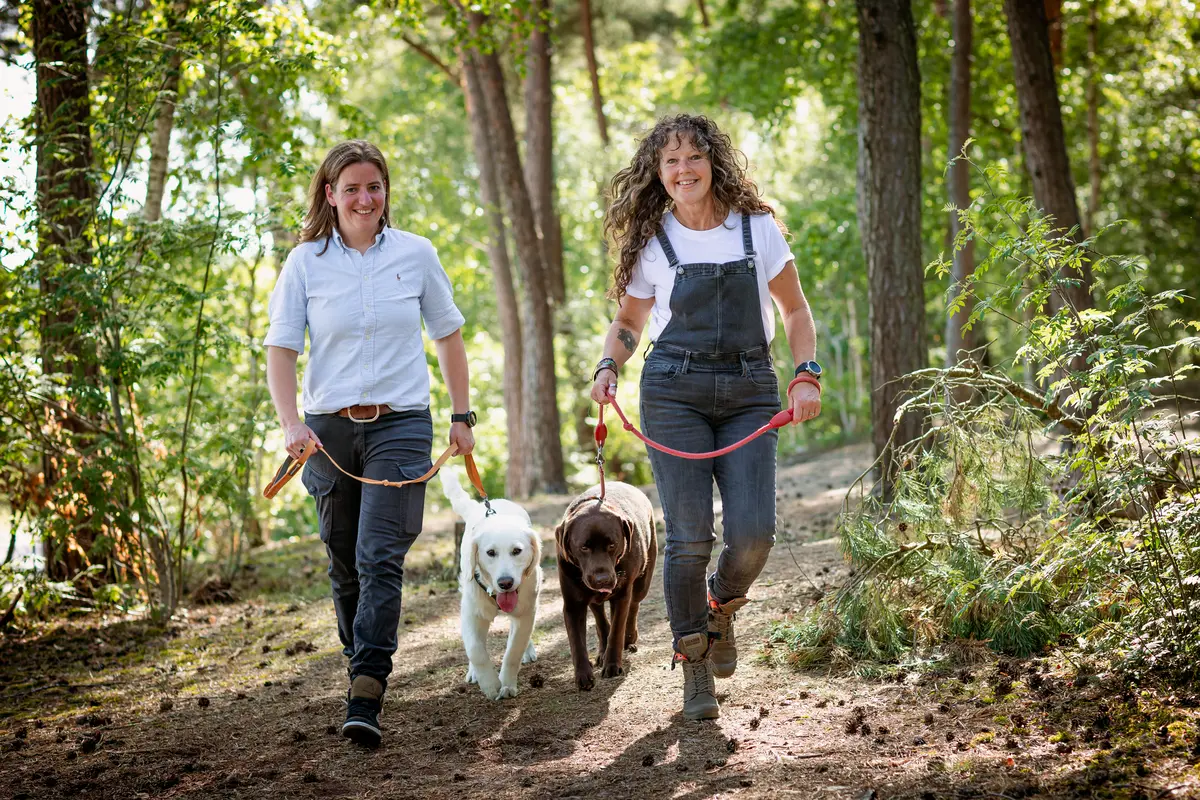 Fotoshoot met twee honden en hun baasjes in de Drunense duinen in het golden hour.