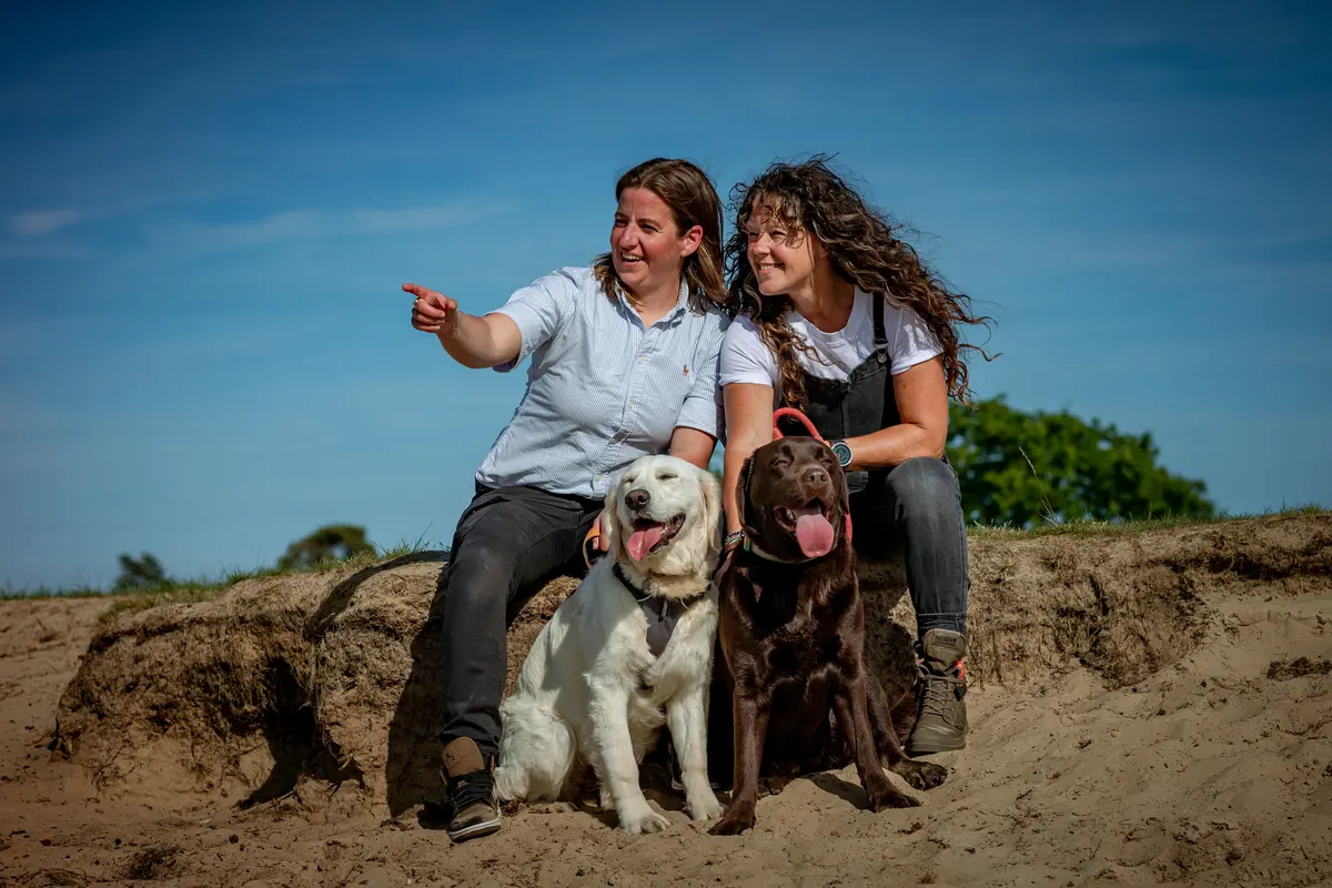 Fotoshoot met twee honden en hun baasjes in de Drunense duinen in het golden hour.